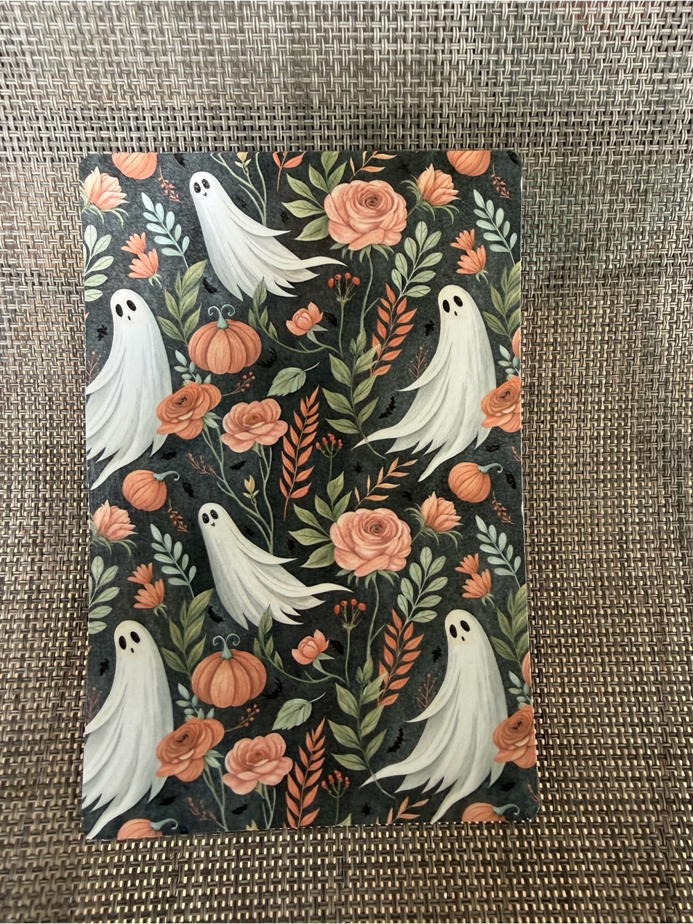 Ghost & Pumpkin Pattern eBook Reader Insert in Black and Orange 4x6